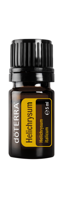 Helichrysum