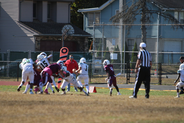 IMG-8235.jpg