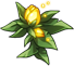 A glowing yellow flower, yet to bloom