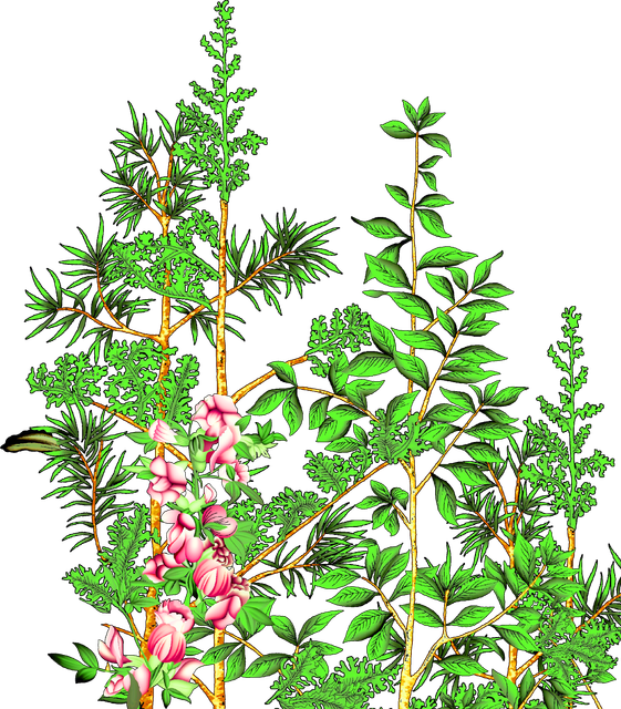 feccde7cc5bf44c9ca5b9b7103205b4b.png
