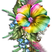 d4d8222a5d0f3aadf60ce3fa632f619e.png
