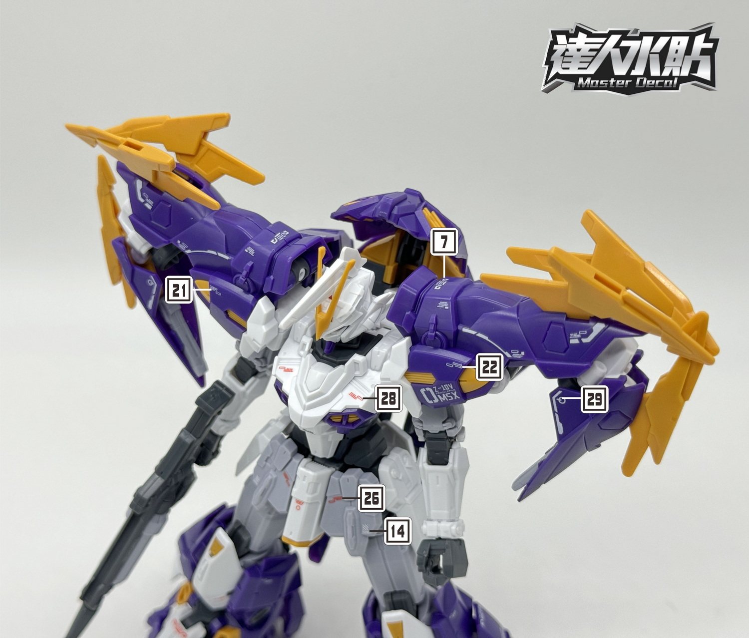 MD HG AESCULAPIUS 002