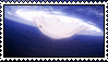image (7).gif
