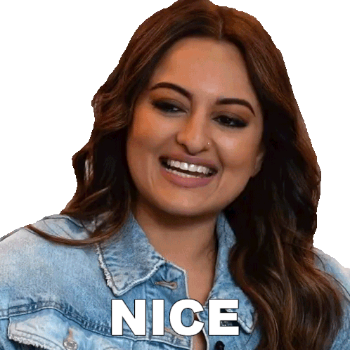 nice sonakshi sinha