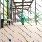 IMG 3984