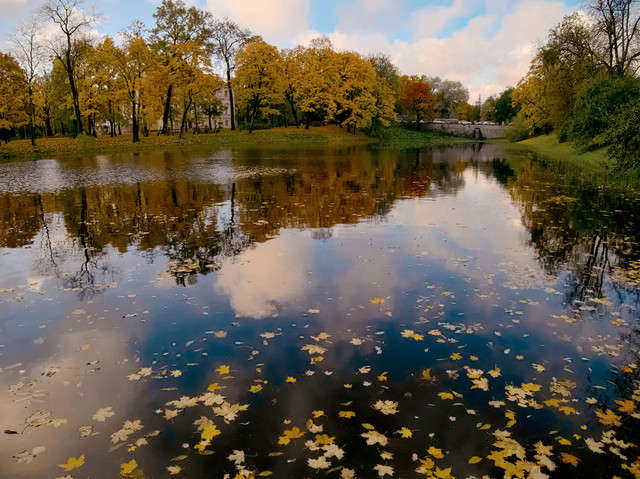 P1011329-1a.jpg