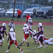 IMG-3060