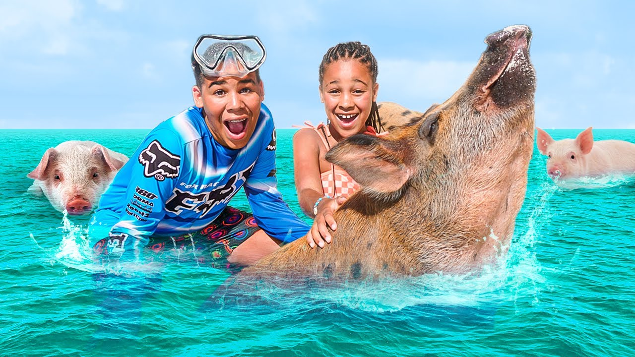 Unforgettable Bahamian Adventure: Meet Playful Piglets in Crystal Waters