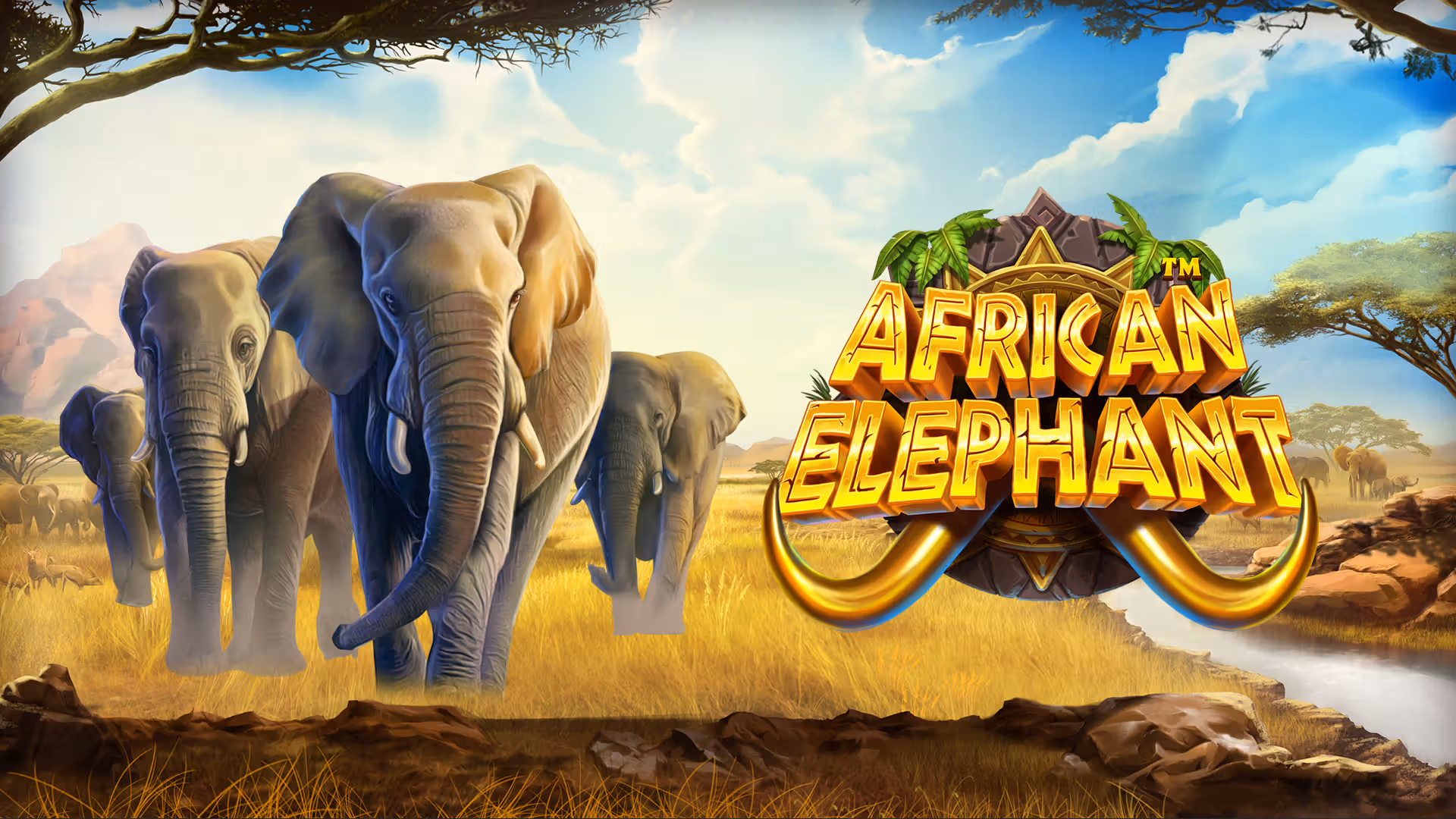 African Elephant Oyna