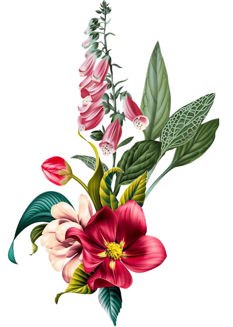 82d09b2944cb83806c14d1b254b4c8bd.png