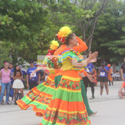 IMG-7533