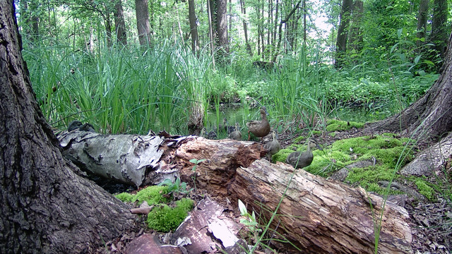 DSCF0264.jpg