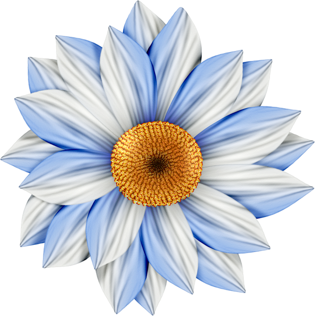 16.png