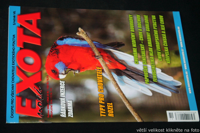 IMG-7823.jpg