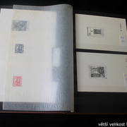 IMG-2355