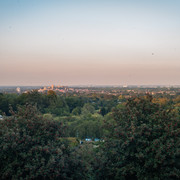 L1013819