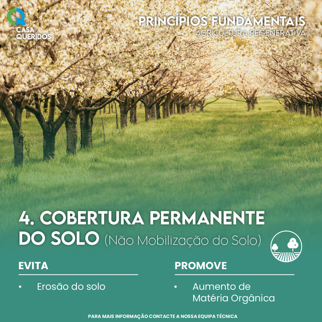 Cobertura Permanente do Solo