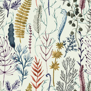 Pattern (37)