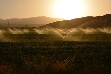 Irrigation-supplies-Perth