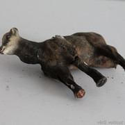 IMG-6661