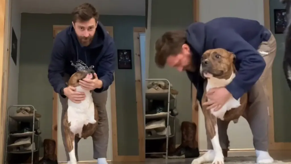 Three-Legged Rescue Dog's Unconventional Routine Goes Viral