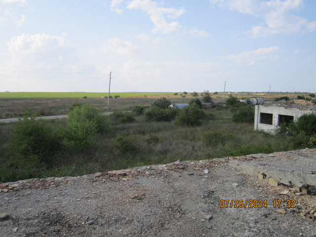 IMG-2246