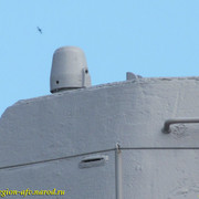 IMG-1469