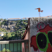 to Ponte (2)