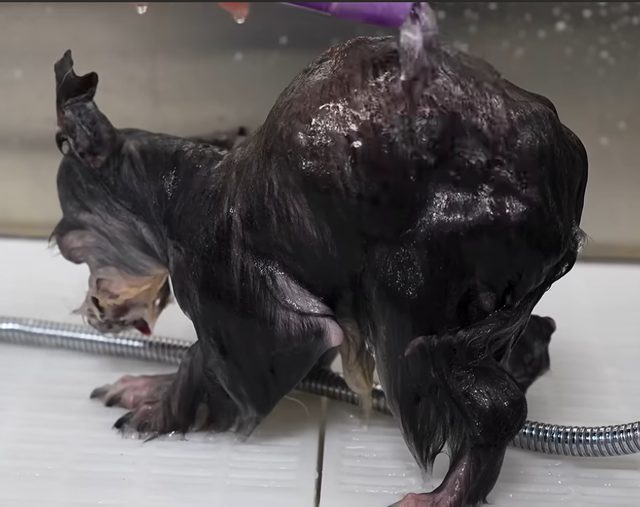 dirtygremlin
