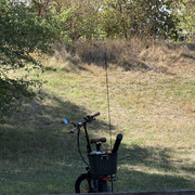IMG 3194