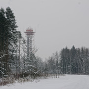 IMGP0268