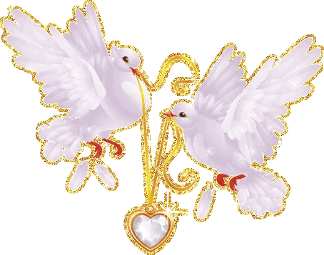 image.gif