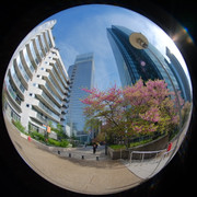 DSCF9032