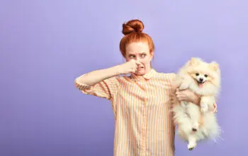 9 Gross Things Your Dog Does That Might Be Caused By Their Food