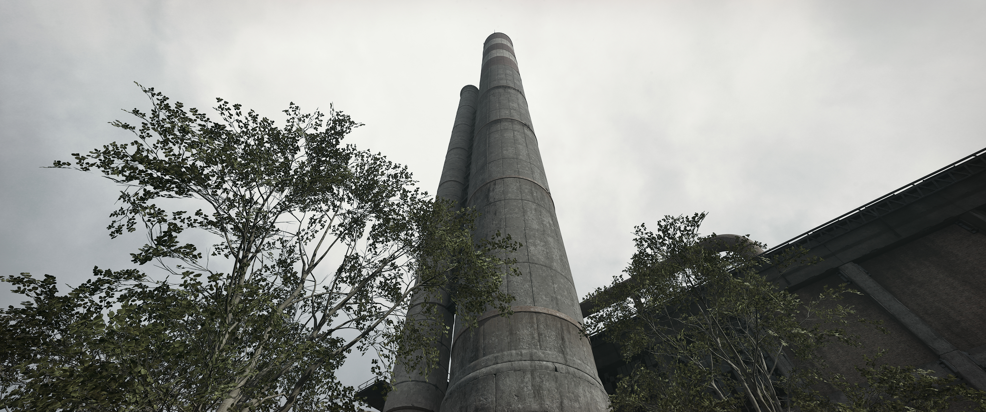 WD-1.jpg