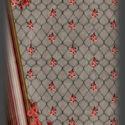 42 DUPATTA