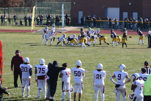 IMG-2939.jpg
