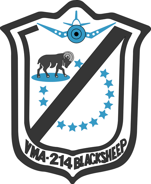 VMA-214