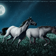 moonstone-about-us