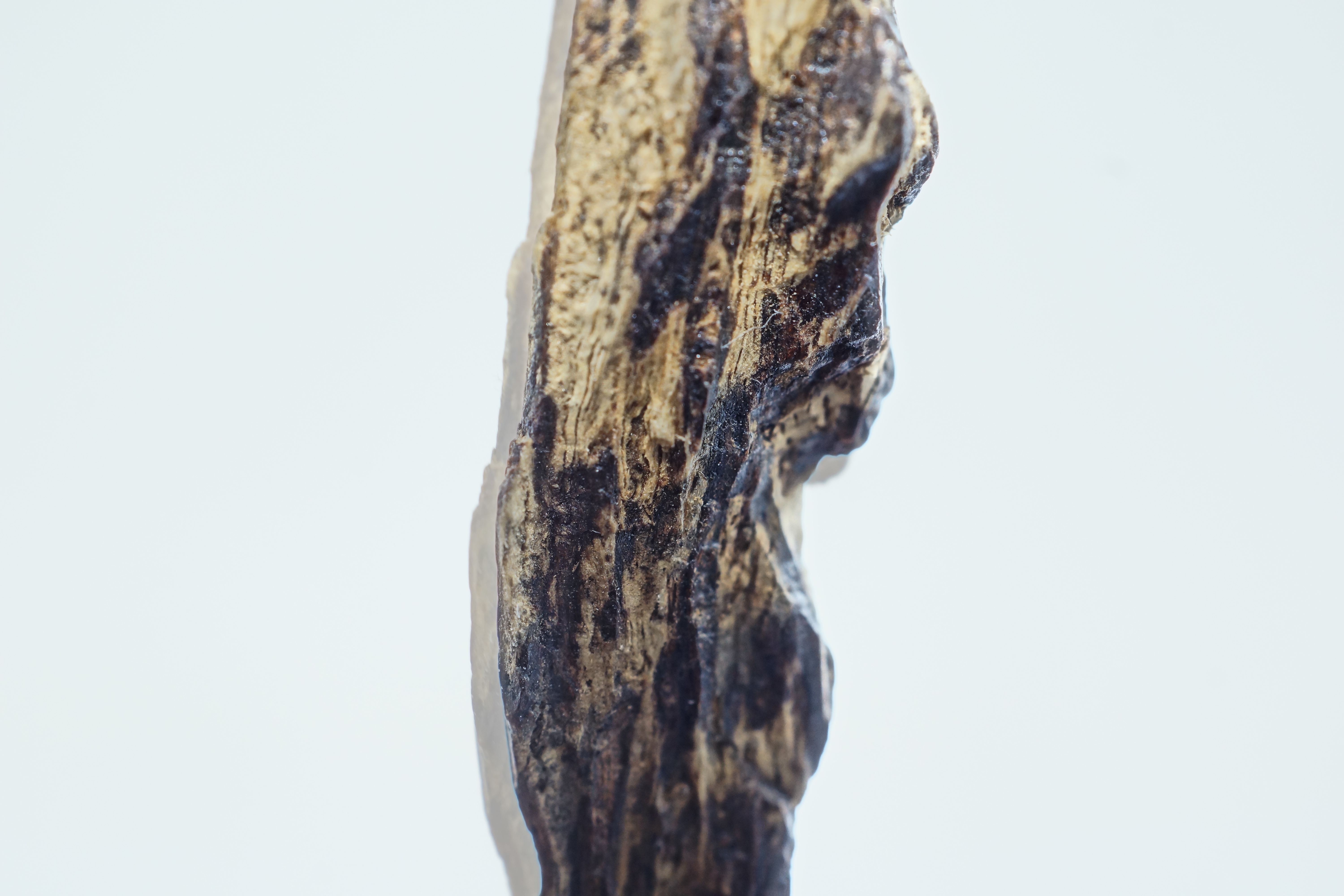 [Ouddict.com] Oud Photos