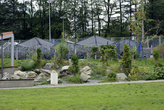 DSC7014.jpg