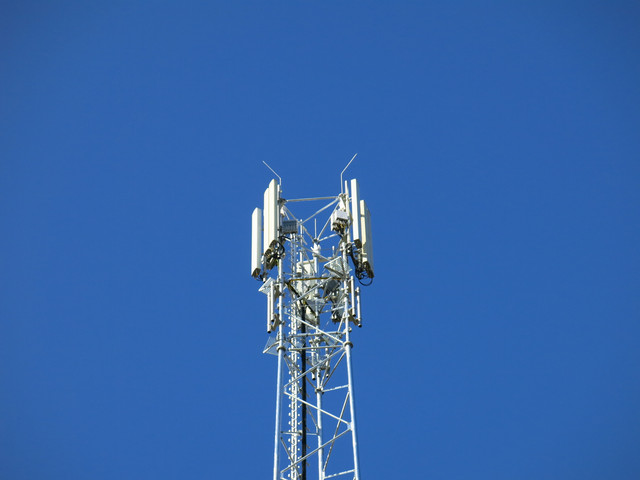 IMG-4517