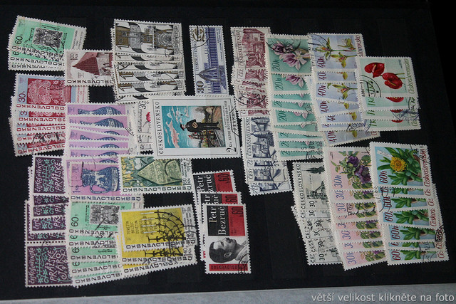 IMG-7007.jpg