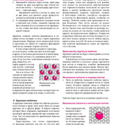 Page-00366