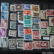 IMG-3010