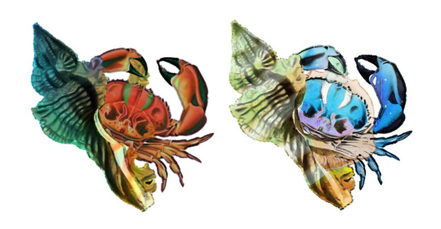antarescomparison