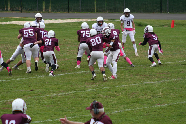IMG-0696.jpg