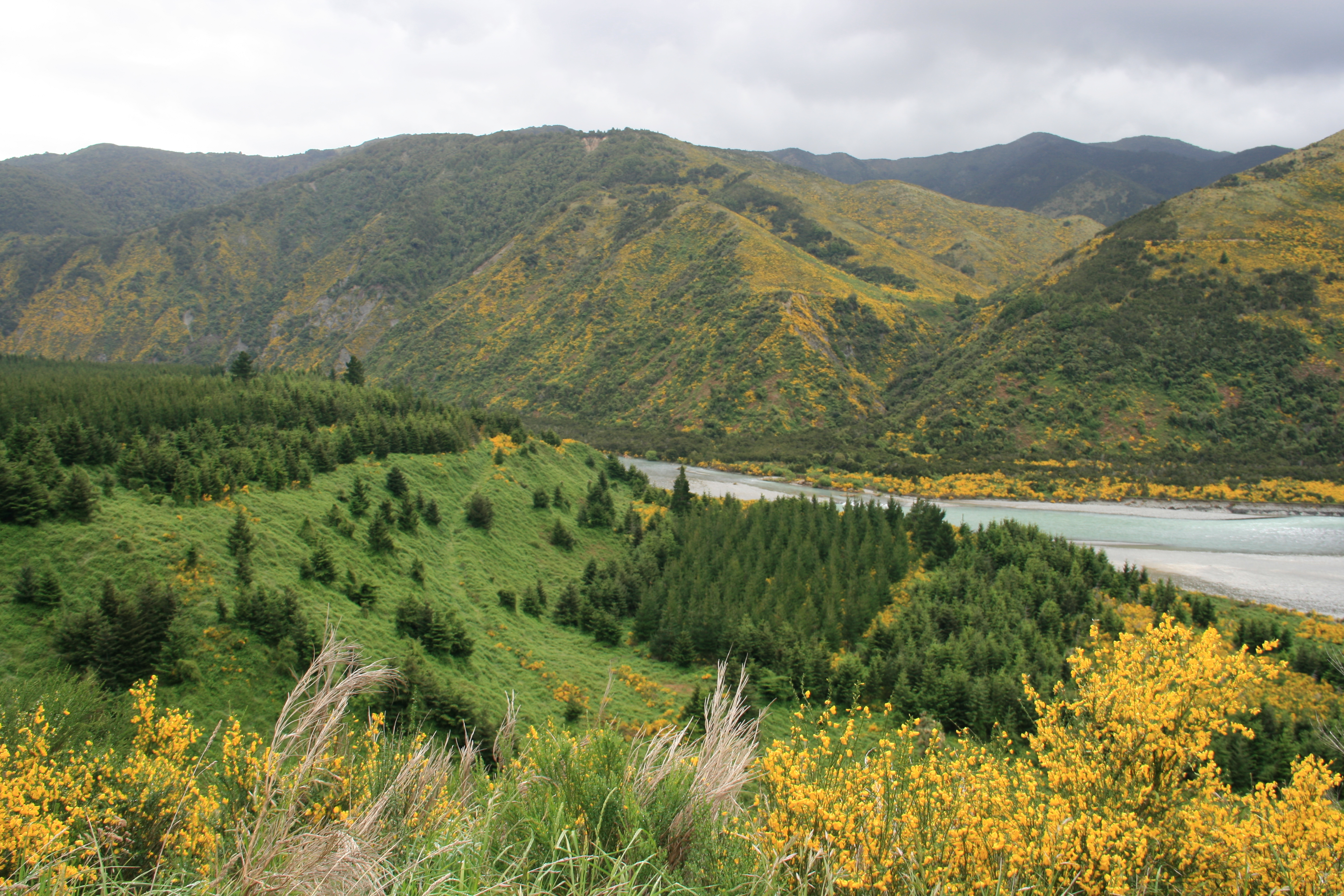 LEWIS PASS - 20 dias en Nueva Zelanda (2)