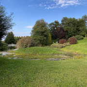IMG-0635