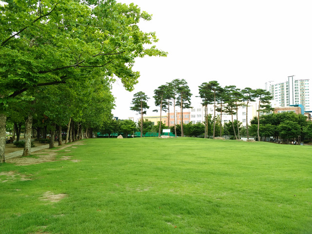 IMG 20170725 173955.jpg